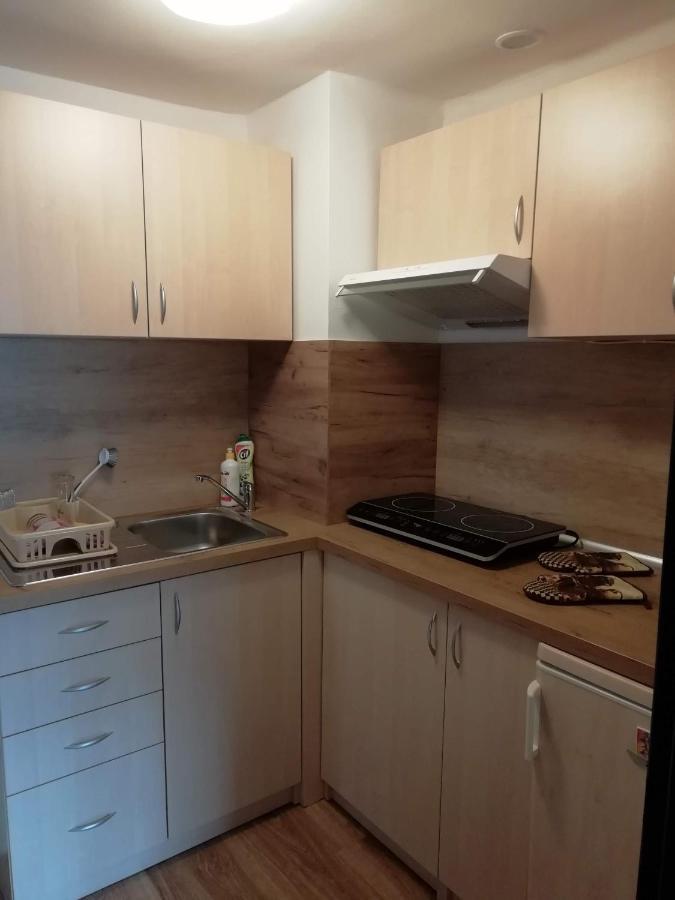 Apartman U Babicky Ždiar エクステリア 写真